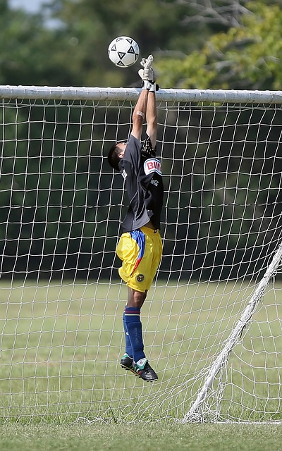 胜负预测 胜负预测