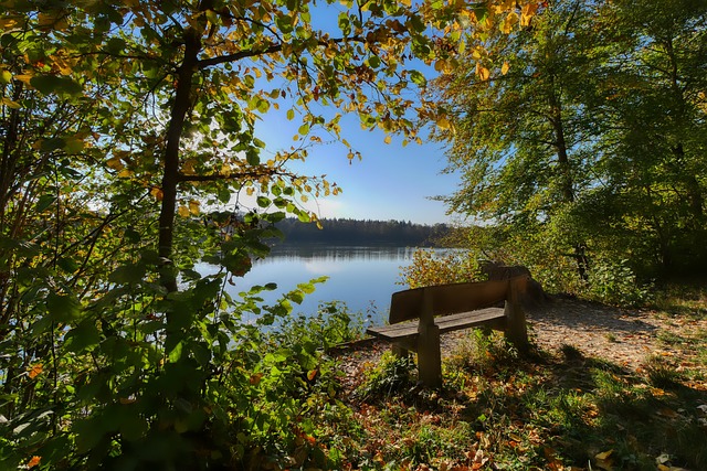 这再次证明 这再次证明