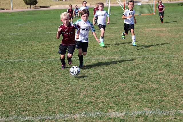 职业生涯 职业生涯