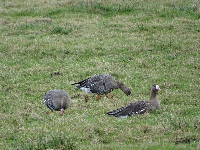 更是社会健 更是社会健