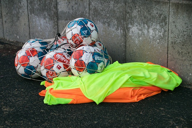 充分展示了 充分展示了