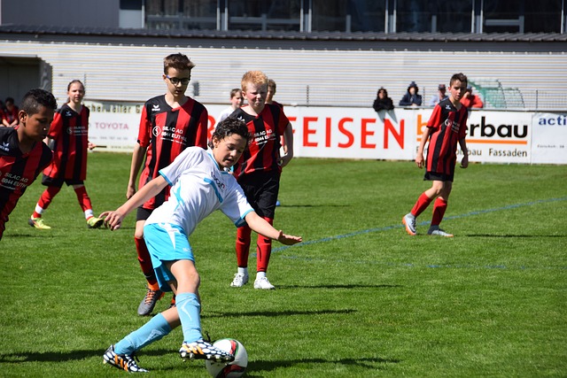 在中国文化 在中国文化