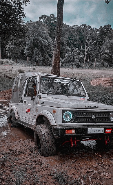 不僅吸引了 不僅吸引了